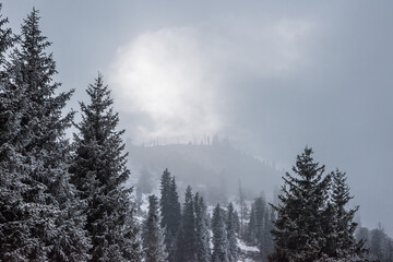 Allphotokz Chimbulak 20161023 9703 D810 S