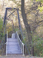 Bridge to the Woods