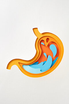 Abstract handmade from paper structure of human stomach.