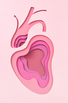 Handmade from paper abstract structure of human heart.