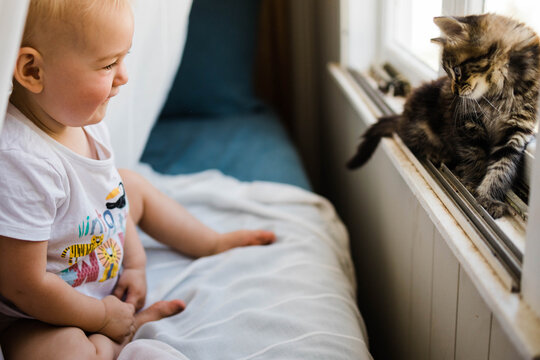 Kitten and toddler watching each other
