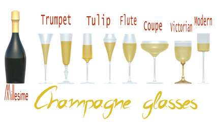 Appearance and names of the main types of champagne  glasses