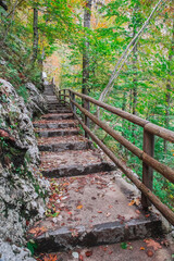stone stairs in the forest high in the mountains