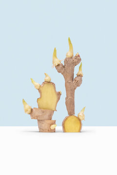 Balancing composition from cut ginger.