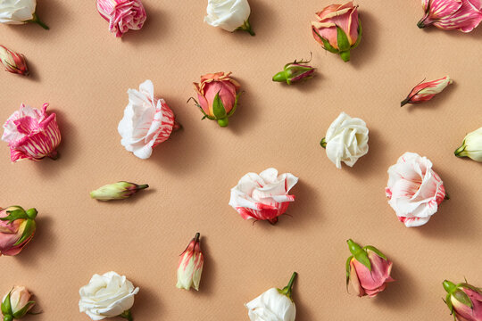 Decorative pattern from rose flowers.
