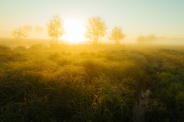 Obraz na płótnie Canvas sunrise in the field