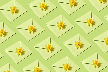 Envelopes pattern with narcissus flowers.