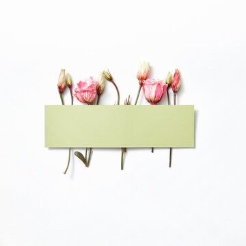 Congratulation card with flowers.