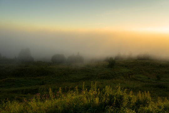 sunrise over the field © Evgenii Ryzhenkov