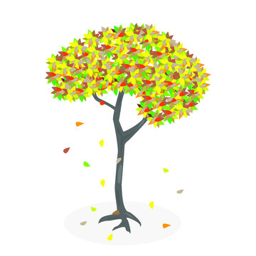 the tree from which the leaves fall, cheerful, prettyy