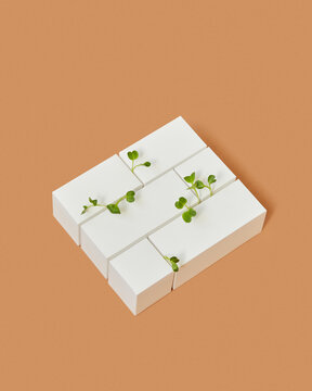 Craft bricks construction with growing microgreen.