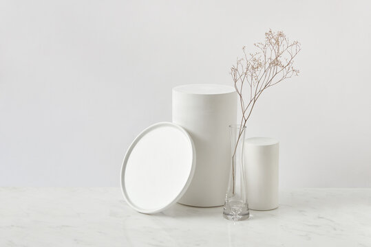 Set of geometric figures and dry plant.