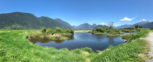 Pitt Polder Eco Reserve