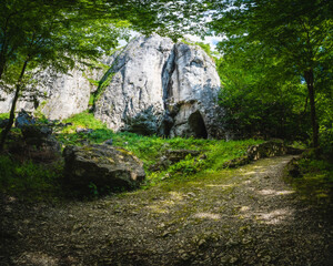 Fototapety na wymiar - Fototapeta24.pl