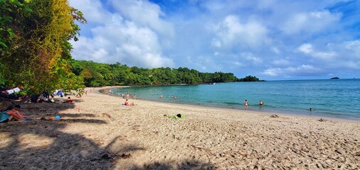 beach with palm trees
