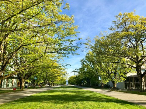 UBC in early May