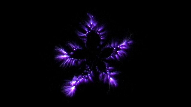 Kirlian photography of the electromagnetic discharge of a cross-section of Star Fruit.