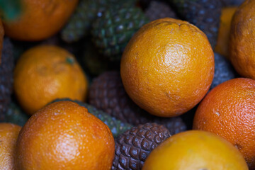 Oranges, tangerines and Christmas tree cones