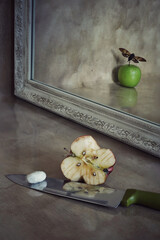 MOTH, APPLE AND COCOON