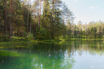 Fototapeta na wymiar Amazing crystal clear and emerald water in the forest lake. Pine forest. Sunny summer day.