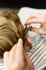 Naklejka premium the process of men's haircuts in a stylish barbershop. men's hairdresser, beauty salon. close-up of the hands of a master who cuts a man with scissors. hairdressing accessories. stylish hairstyle