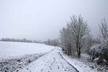 Fototapeta premium Winter landscape with trees covered in white snow