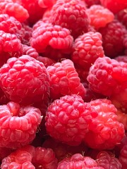 fresh raspberries, pink and red, close up