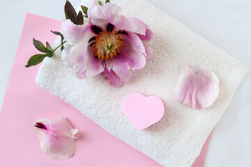 White Terry towel with a delicate peony flower on a pink background, top view - the concept of gentle body care