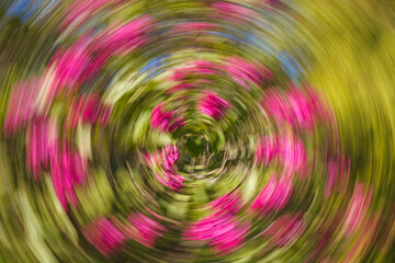 Artsy swirling motion blurred purple flowers