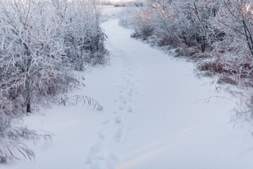 winter in Canada
