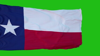 Flag of Texas on Green Screen. Perfect for your own background using green screen. 3d rendering