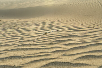 Nature and landscapes of the desert. Annual growth of the area of sand. Global warming on the planet. Climatic changes on Earth.