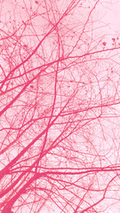 tree branch texture. variation in pink