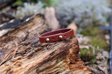 brown leather bracelet handmade close-up on a wooden hemp on a blurred background of green moss and grass in the forest