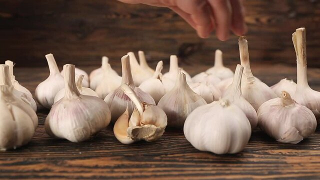 Woman putting fresh garlic on wooden table