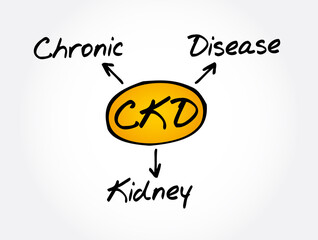 CKD - Chronic Kidney Disease acronym, medical concept