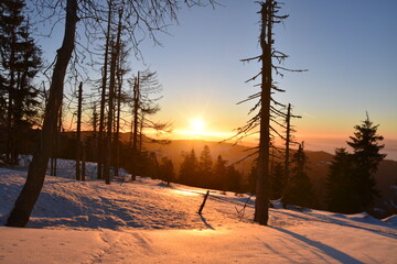 Zima na Turbaczu w Gorcach. Wschód słońca w górach, atak zimy, silne mrozy w Beskidach