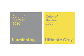Demonstrating trendy colors 2021 - Gray and Yellow. Frames with text and color samples.