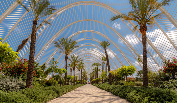 Vue de l'Umbracle de la Cit&eacute; des arts et des sciences de Valence cr&eacute;&eacute;e par l'architecte Santiago Calatrava. Complexe culturel situ&eacute; &agrave; Valence, Espagne, le 29 avril 2019.