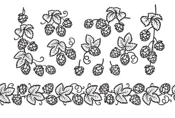 Hop branches with cones and leaves seamless border. Brewery, beer festival, bar, design elements in vintage engraving style. Hand drawn vector illustration isolated on white background.
