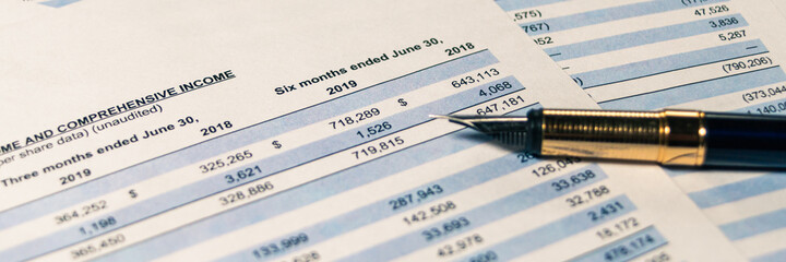 Fototapeta premium Balance accounting sheet in stockholder report book, balance sheet. Selective focus