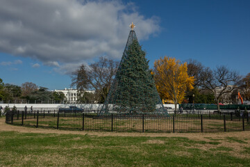 National Christmas tree on White House in Washington, DC