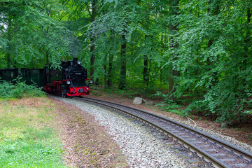 Rasender Roland auf Rügen Dampflok