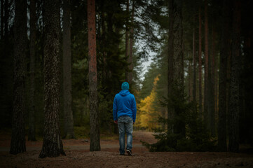 man walks in the pine forest in autumn