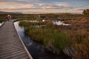 Fototapeta premium wooden bridge across the lake