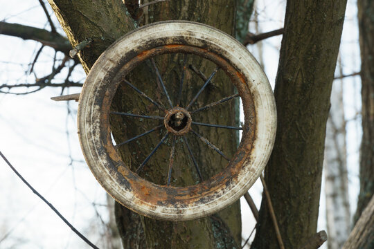 An old wheel hanging from a tree