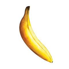 watercolor illustration of banana on white background