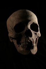 Fototapeta premium skull on black