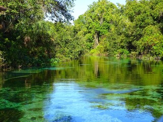 Fototapeta na wymiar United States, Florida, Hernando County, Weeki Watchee river