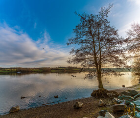 A panorama view across Pitsford Reservoir, UK just before sunset in winter